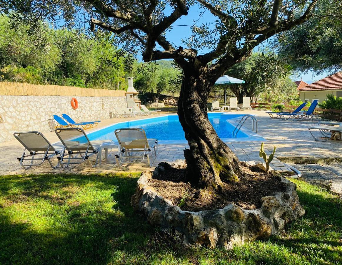 Olive Grove Poolside Apartments Benitses  Exterior foto